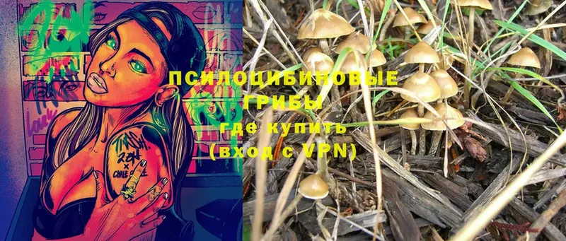 Псилоцибиновые грибы Magic Shrooms  Алексин 